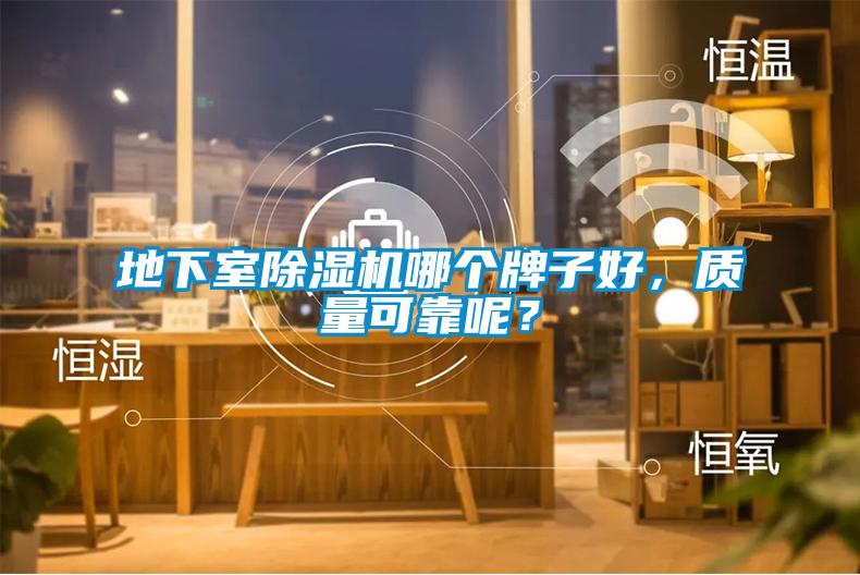 地下室除濕機哪個牌子好，質量可靠呢？