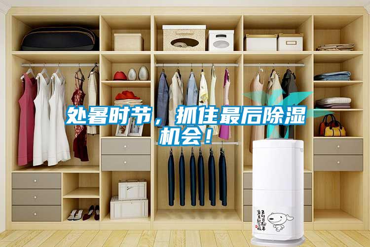 處暑時節(jié)，抓住最后除濕機(jī)會！