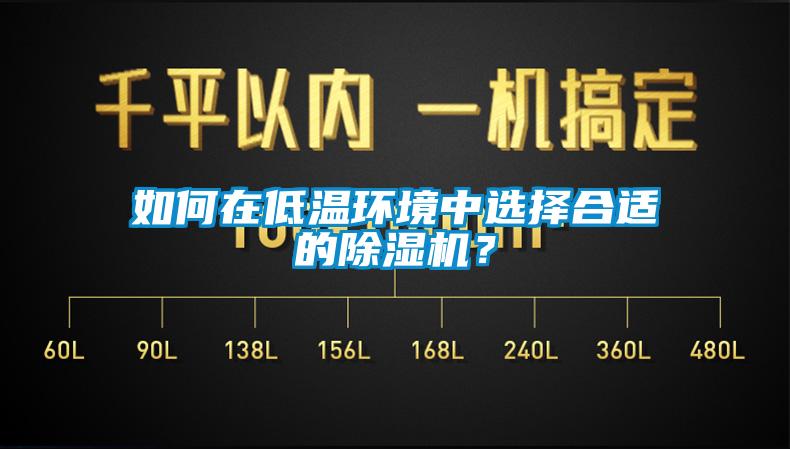 如何在低溫環境中選擇合適的除濕機？