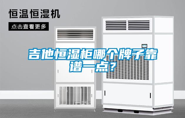 吉他恒濕柜哪個牌子靠譜一點？