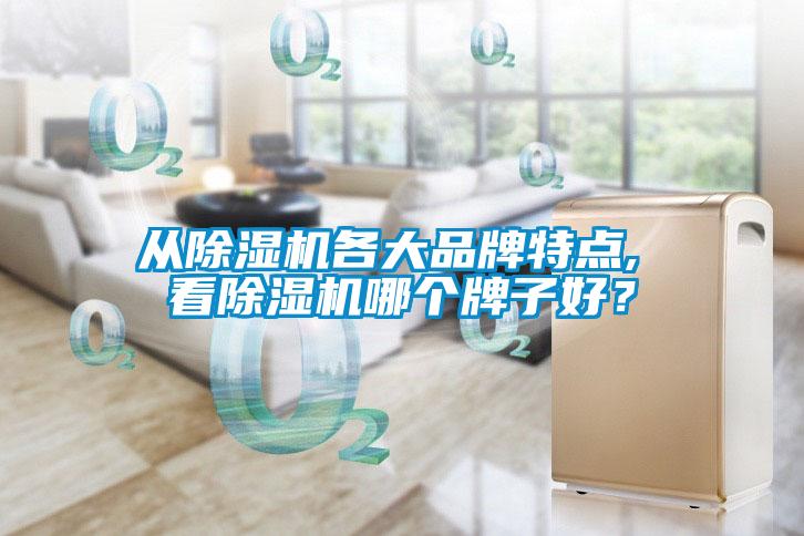 從除濕機(jī)各大品牌特點(diǎn), 看除濕機(jī)哪個(gè)牌子好？