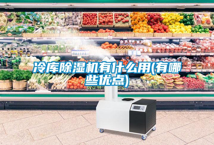 冷庫除濕機(jī)有什么用(有哪些優(yōu)點)