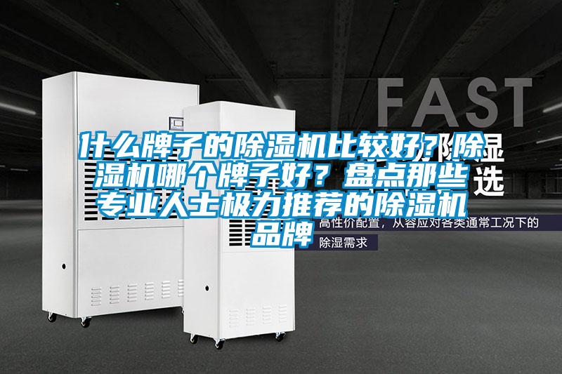 什么牌子的除濕機比較好？除濕機哪個牌子好？盤點那些專業人士極力推薦的除濕機品牌
