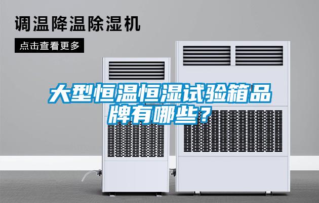 大型恒溫恒濕試驗箱品牌有哪些？