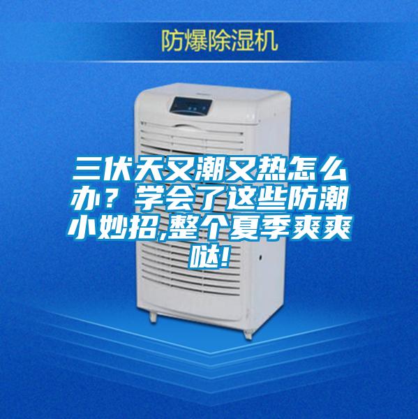 三伏天又潮又熱怎么辦？學(xué)會了這些防潮小妙招,整個(gè)夏季爽爽噠!