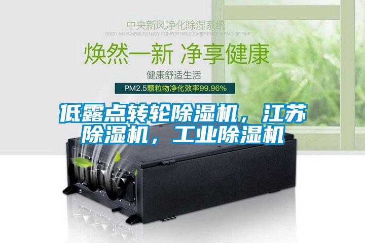 低露點轉輪除濕機，江蘇除濕機，工業(yè)除濕機
