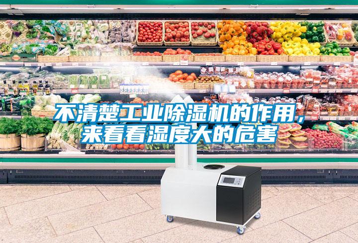 不清楚工業除濕機的作用，來看看濕度大的危害