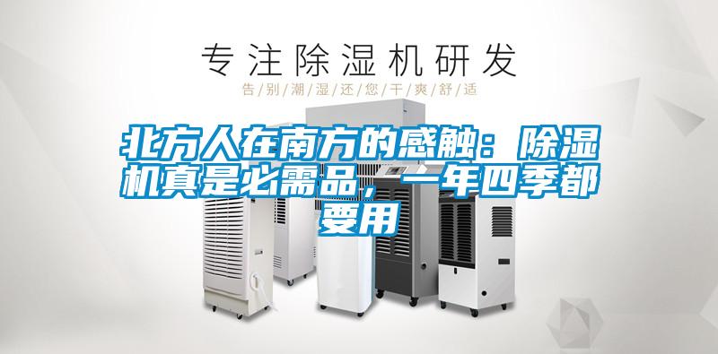 北方人在南方的感觸：除濕機真是必需品，一年四季都要用