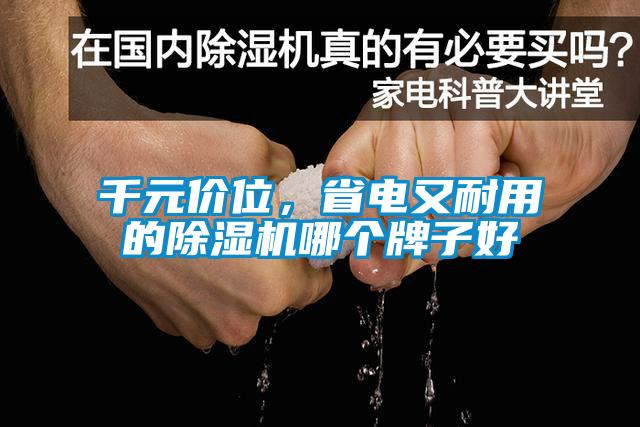 千元價位，省電又耐用的除濕機哪個牌子好