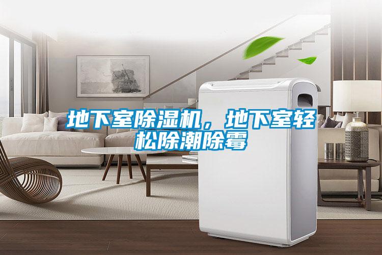 地下室除濕機，地下室輕松除潮除霉