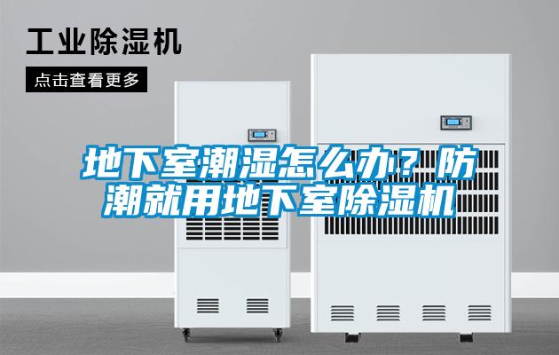 地下室潮濕怎么辦？防潮就用地下室除濕機