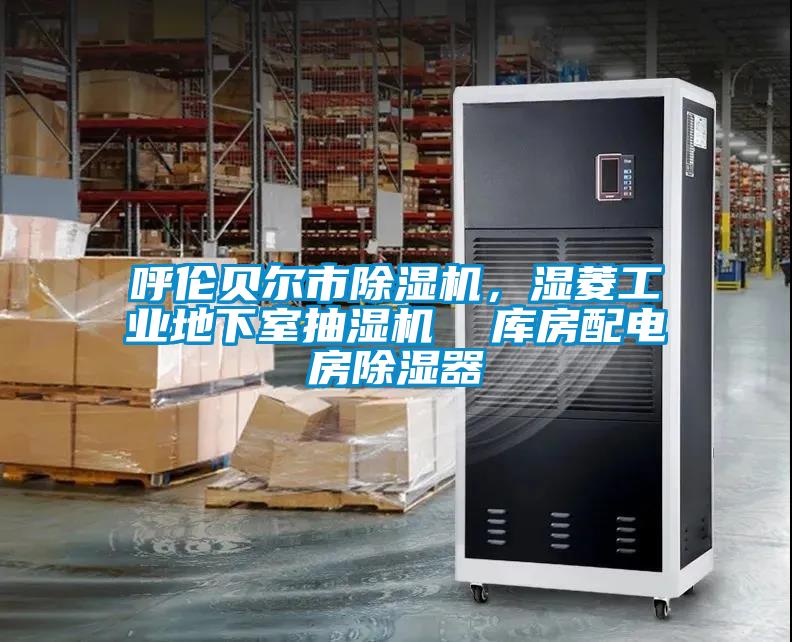 呼倫貝爾市除濕機，濕菱工業地下室抽濕機  庫房配電房除濕器