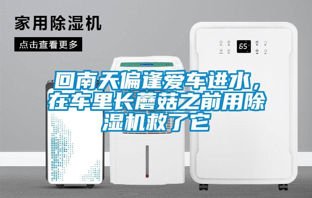 回南天偏逢愛車進(jìn)水，在車?yán)镩L蘑菇之前用除濕機(jī)救了它