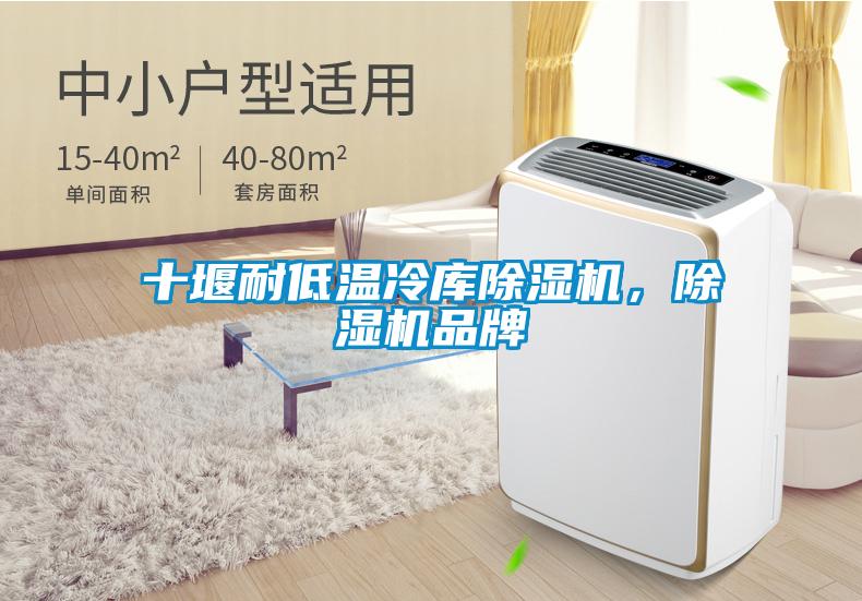 十堰耐低溫冷庫除濕機，除濕機品牌