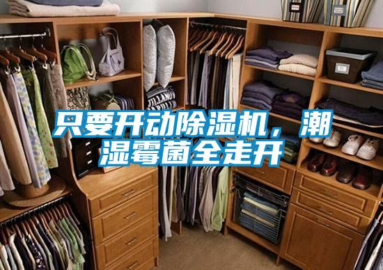只要開動除濕機，潮濕霉菌全走開