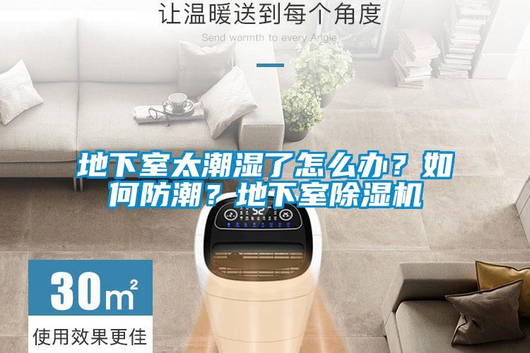 地下室太潮濕了怎么辦？如何防潮？地下室除濕機