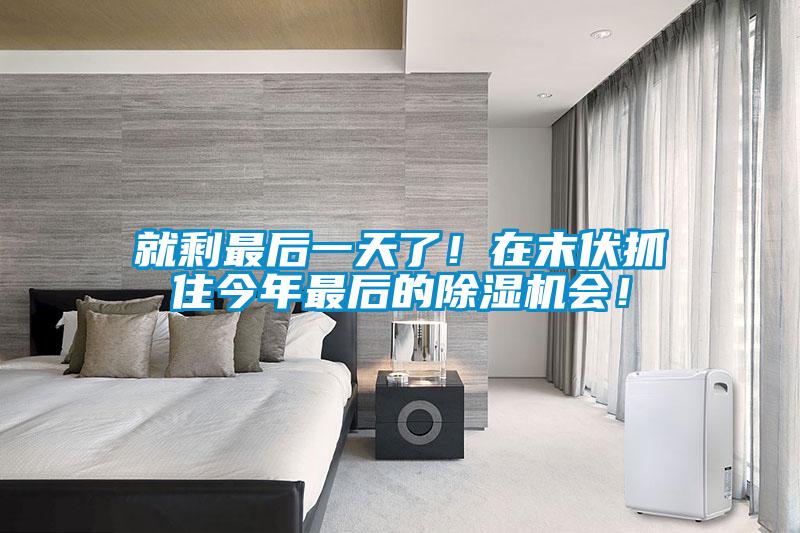 就剩最后一天了！在末伏抓住今年最后的除濕機會！