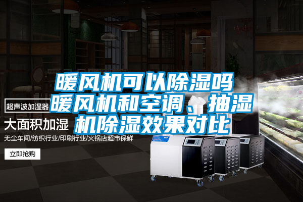 暖風(fēng)機(jī)可以除濕嗎 暖風(fēng)機(jī)和空調(diào)、抽濕機(jī)除濕效果對(duì)比