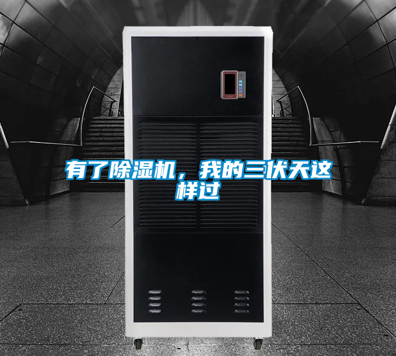有了除濕機(jī)，我的三伏天這樣過