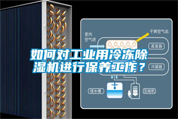 如何對工業(yè)用冷凍除濕機進行保養(yǎng)工作？