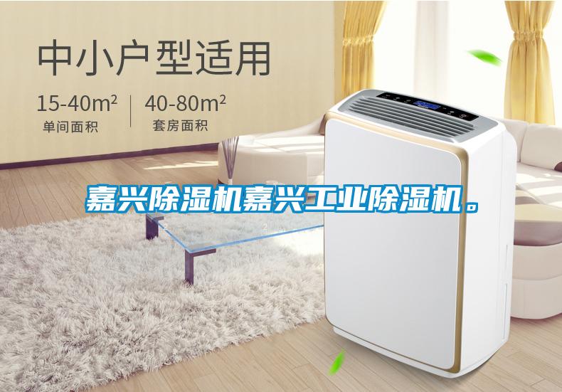嘉興除濕機(jī)嘉興工業(yè)除濕機(jī)。