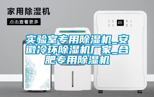 實(shí)驗(yàn)室專(zhuān)用除濕機(jī)_安徽冷環(huán)除濕機(jī)廠家_合肥專(zhuān)用除濕機(jī)