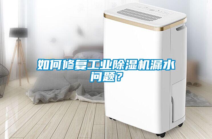 如何修復工業除濕機漏水問題？