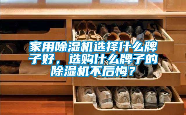 家用除濕機選擇什么牌子好，選購什么牌子的除濕機不后悔？