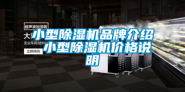 小型除濕機(jī)品牌介紹 小型除濕機(jī)價格說明