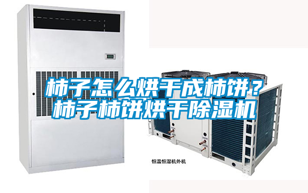 柿子怎么烘干成柿餅？柿子柿餅烘干除濕機