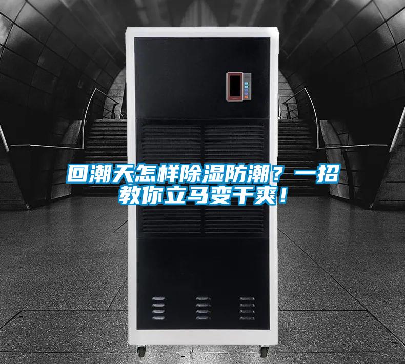 回潮天怎樣除濕防潮？一招教你立馬變干爽！