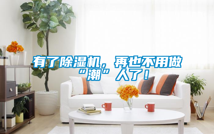 有了除濕機(jī)，再也不用做“潮”人了！
