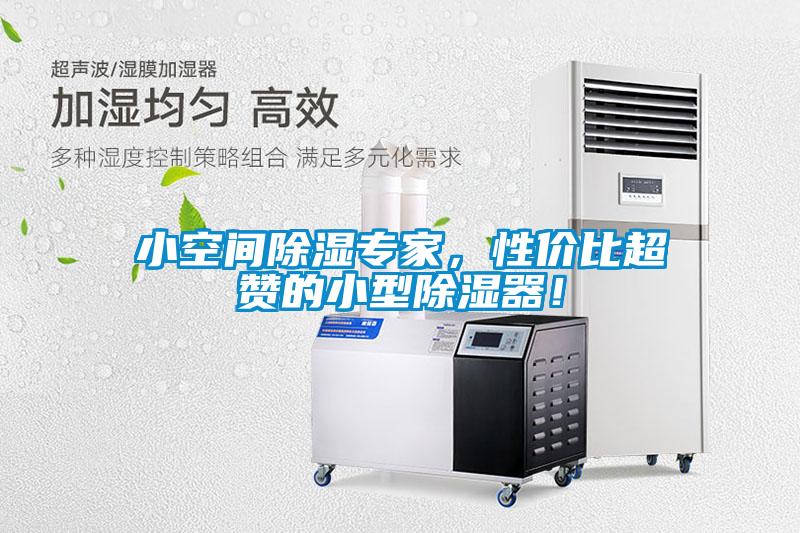小空間除濕專家，性價比超贊的小型除濕器！