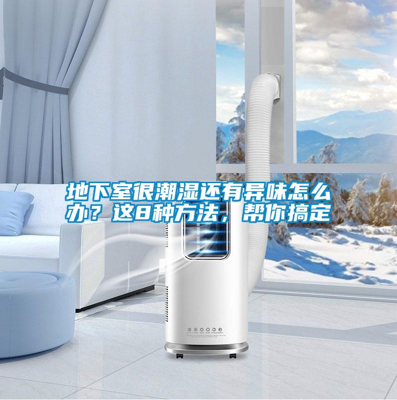 地下室很潮濕還有異味怎么辦？這8種方法，幫你搞定