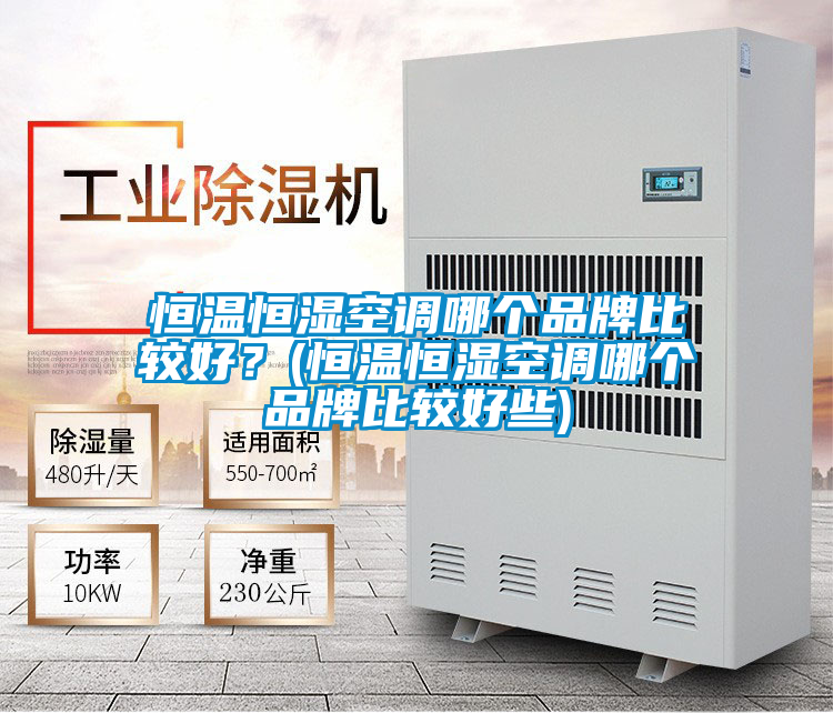 恒溫恒濕空調哪個品牌比較好?(恒溫恒濕空調哪個品牌比較好些)