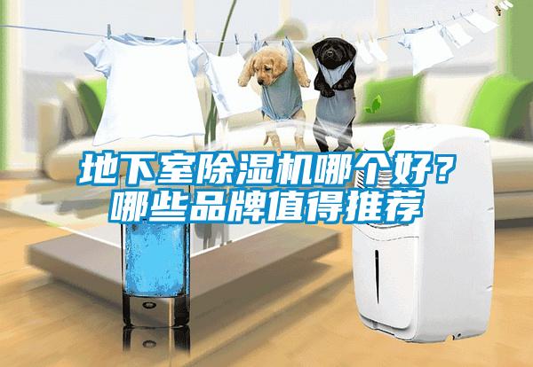 地下室除濕機(jī)哪個(gè)好？哪些品牌值得推薦