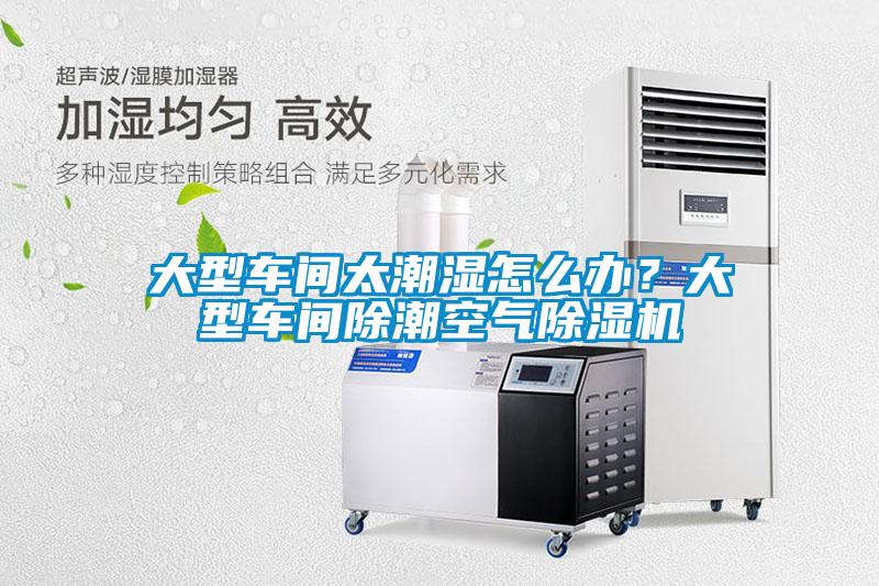 大型車間太潮濕怎么辦？大型車間除潮空氣除濕機