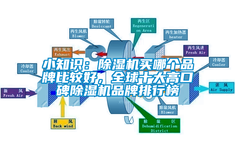 小知識：除濕機(jī)買哪個品牌比較好，全球十大高口碑除濕機(jī)品牌排行榜