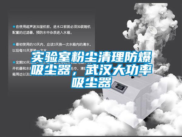 實(shí)驗(yàn)室粉塵清理防爆吸塵器，武漢大功率吸塵器