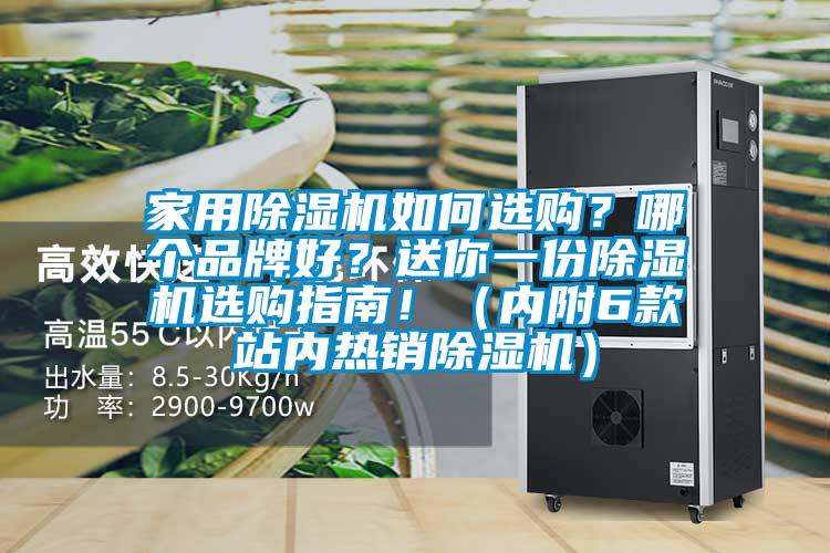 家用除濕機(jī)如何選購？哪個品牌好？送你一份除濕機(jī)選購指南！（內(nèi)附6款站內(nèi)熱銷除濕機(jī)）