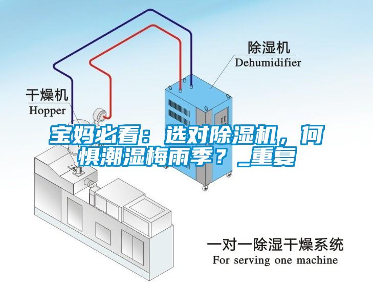寶媽必看：選對除濕機，何懼潮濕梅雨季？_重復(fù)