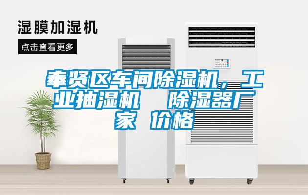 奉賢區車間除濕機，工業抽濕機  除濕器廠家 價格