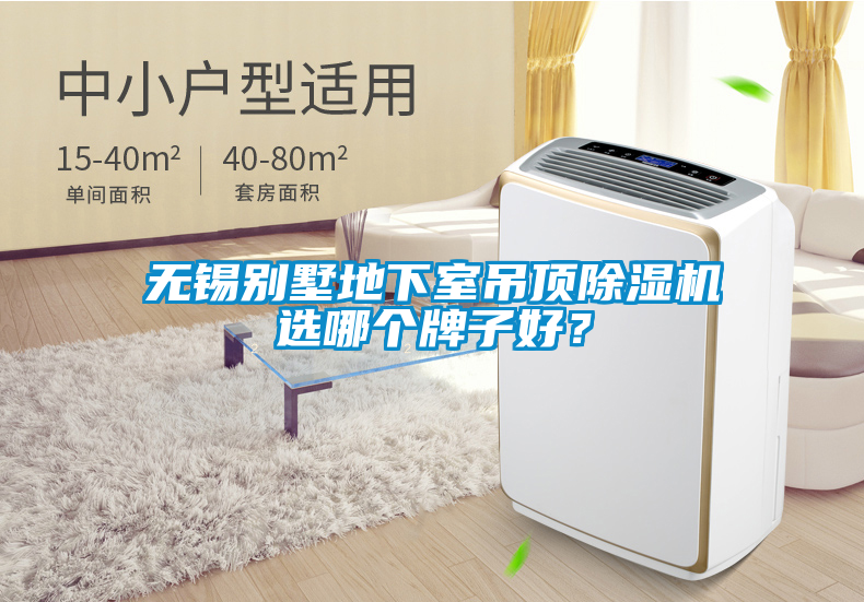 無錫別墅地下室吊頂除濕機(jī)選哪個牌子好？