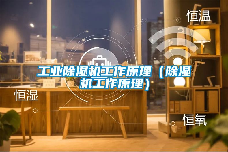 工業除濕機工作原理(除濕機工作原理)