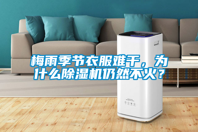 梅雨季節衣服難干，為什么除濕機仍然不火？