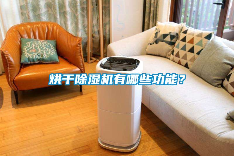 烘干除濕機有哪些功能？