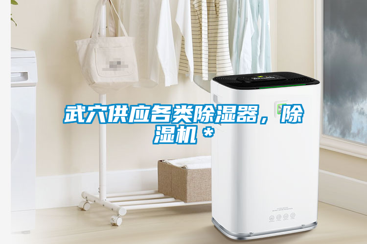 武穴供應各類除濕器，除濕機＊