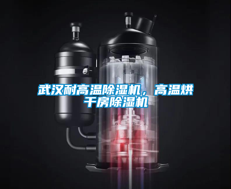 武漢耐高溫除濕機，高溫烘干房除濕機