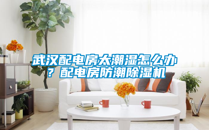 武漢配電房太潮濕怎么辦？配電房防潮除濕機