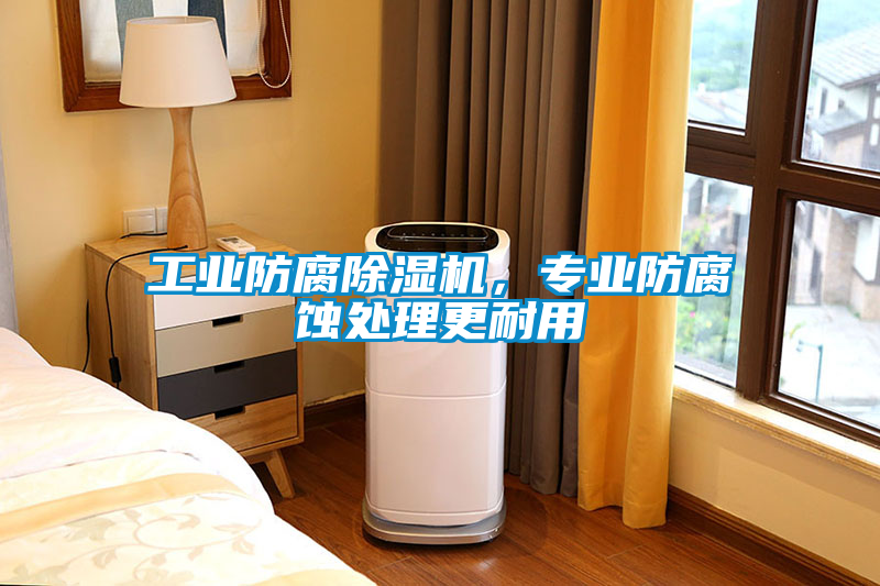 工業(yè)防腐除濕機，專業(yè)防腐蝕處理更耐用